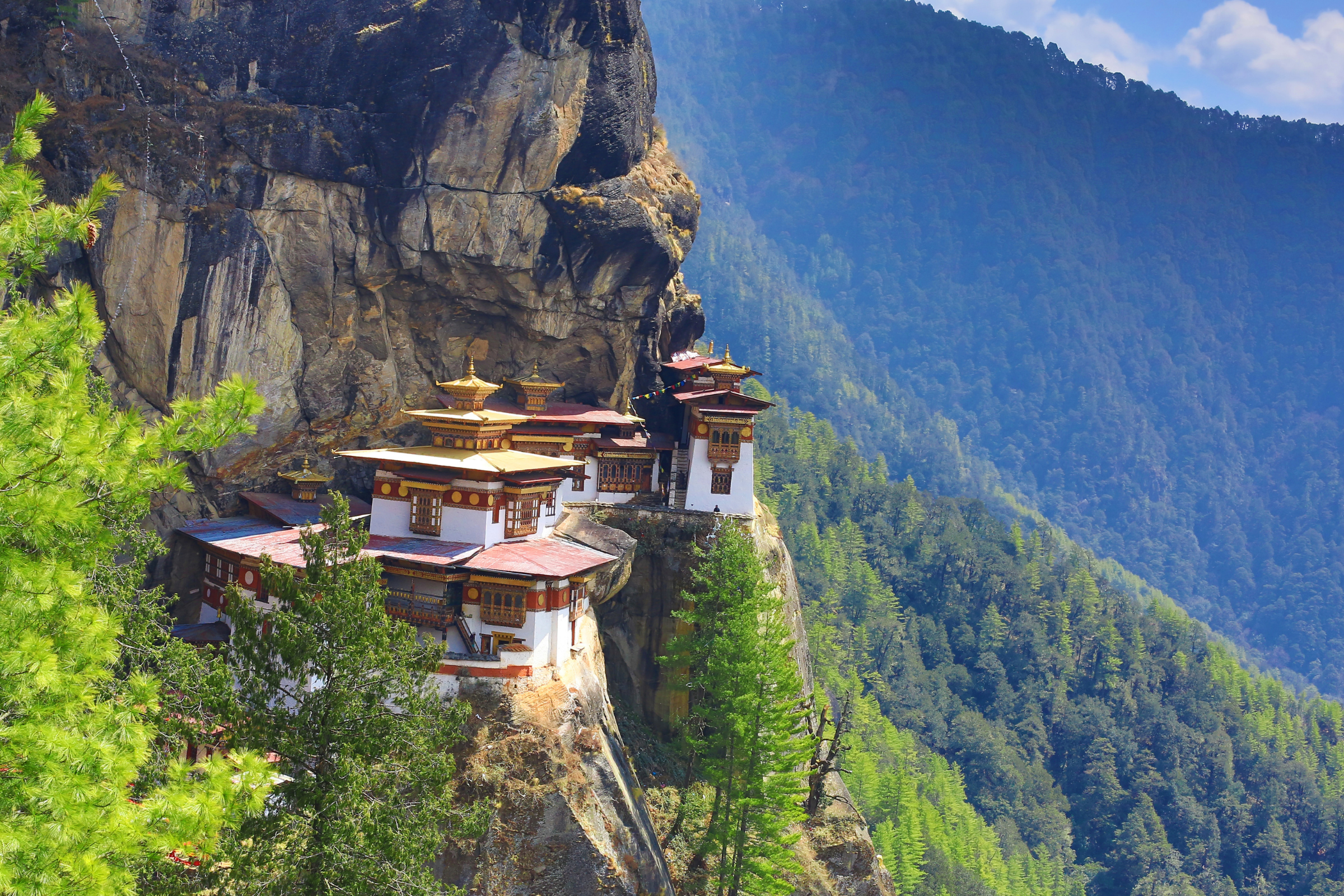 tsangkha (3).webp